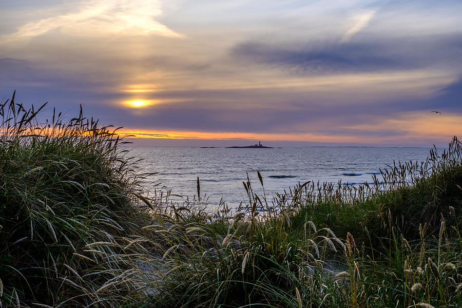 Landscape from Jæren in Rogaland Norway, dunes, gras and straws in the forground, ocean, sunset sky and a lighthouse in the background Photograph by Finn Bjurvoll Hansen