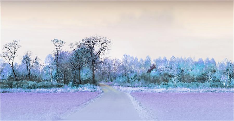 Tree Digital Art - Landscape in Blue by Slawek Aniol