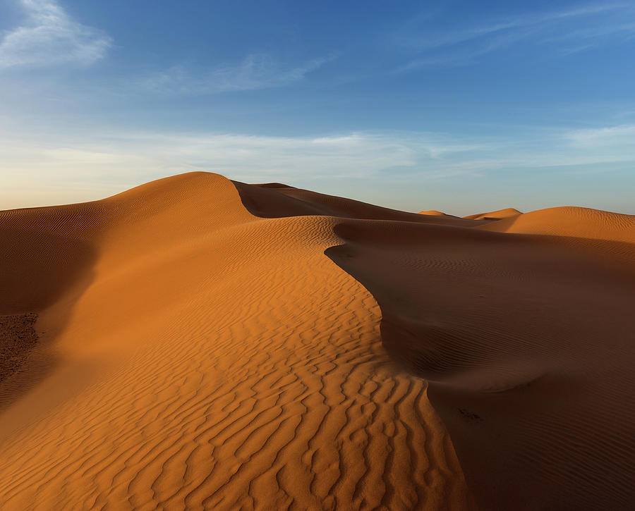 Landscape In Desert At Sunset Photograph by Mikhail Kokhanchikov
