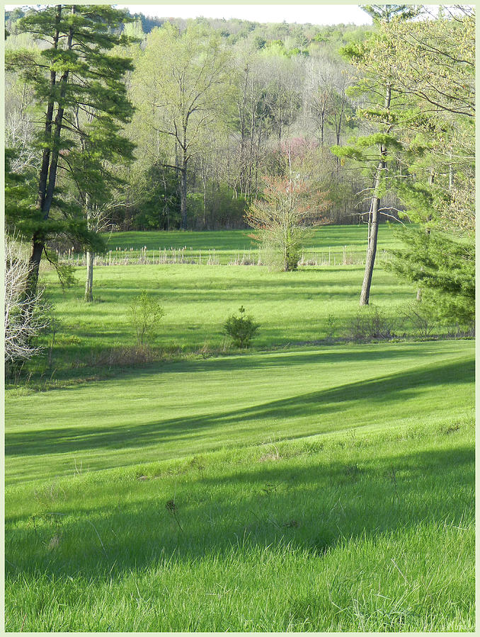 Landscape in May, Saratoga County, NY Photograph by Lise Winne
