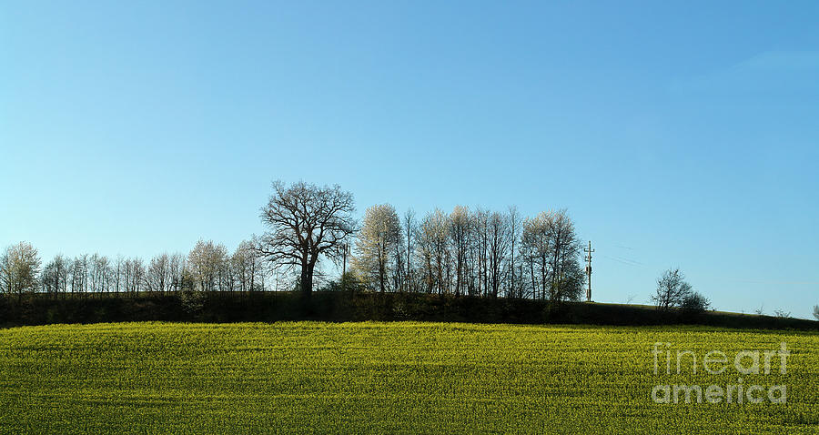 Landscape In Primary Colors Photograph