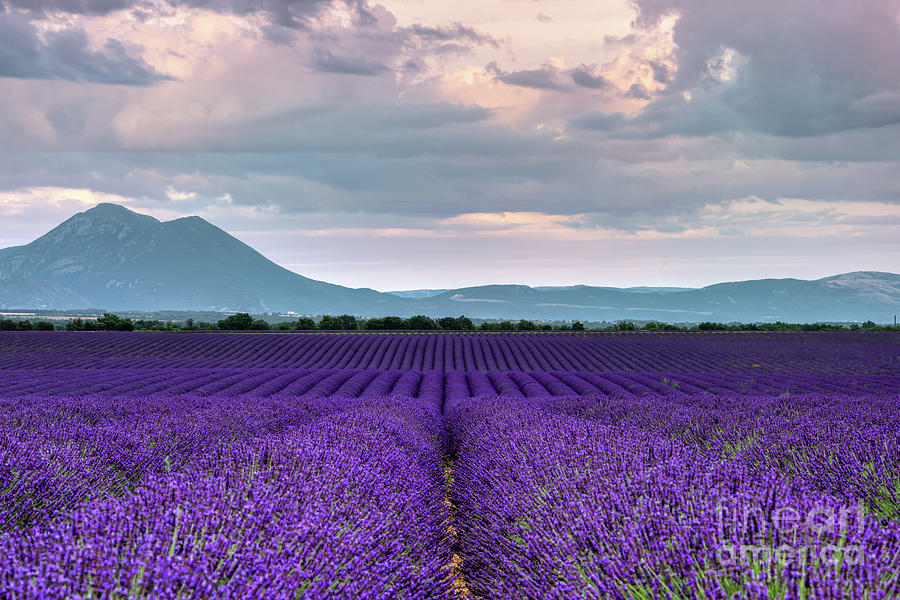 Landscape In Provence, France, Hdr Photograph