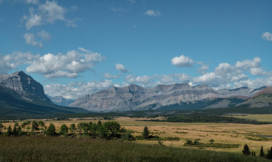 Landscape in the Alberta Rockies Photograph by Karen Rispin