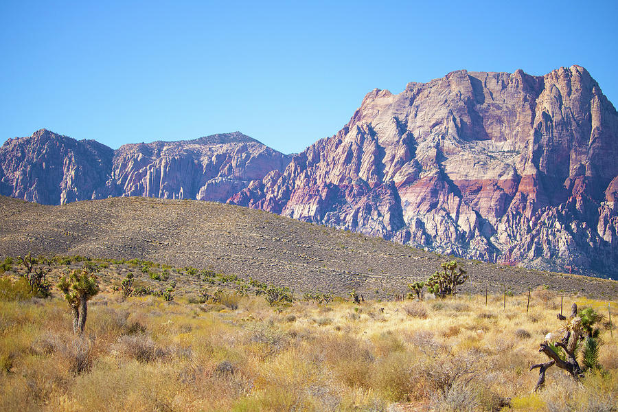 Landscape Levels Photograph by Keyon Mack - Fine Art America