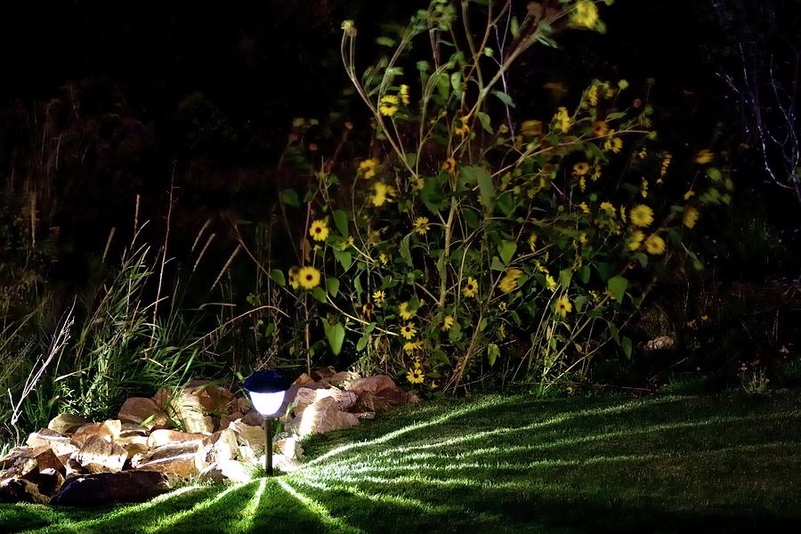 Landscape Lighting Photograph by Jerry Sodorff