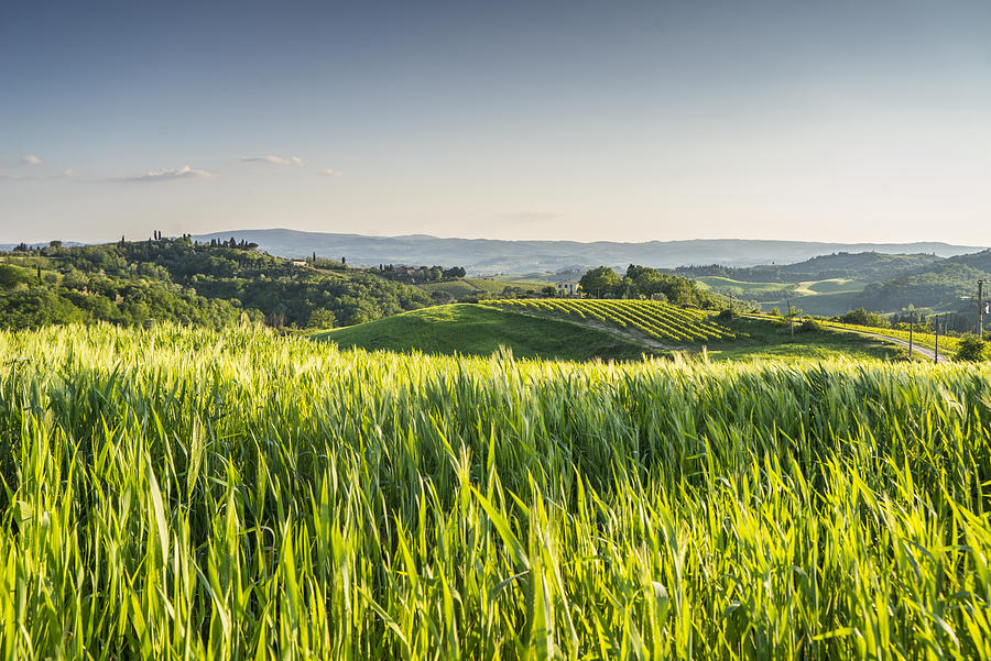Landscape near Bacio Photograph by Guido Cozzi/Atlantide Phototravel