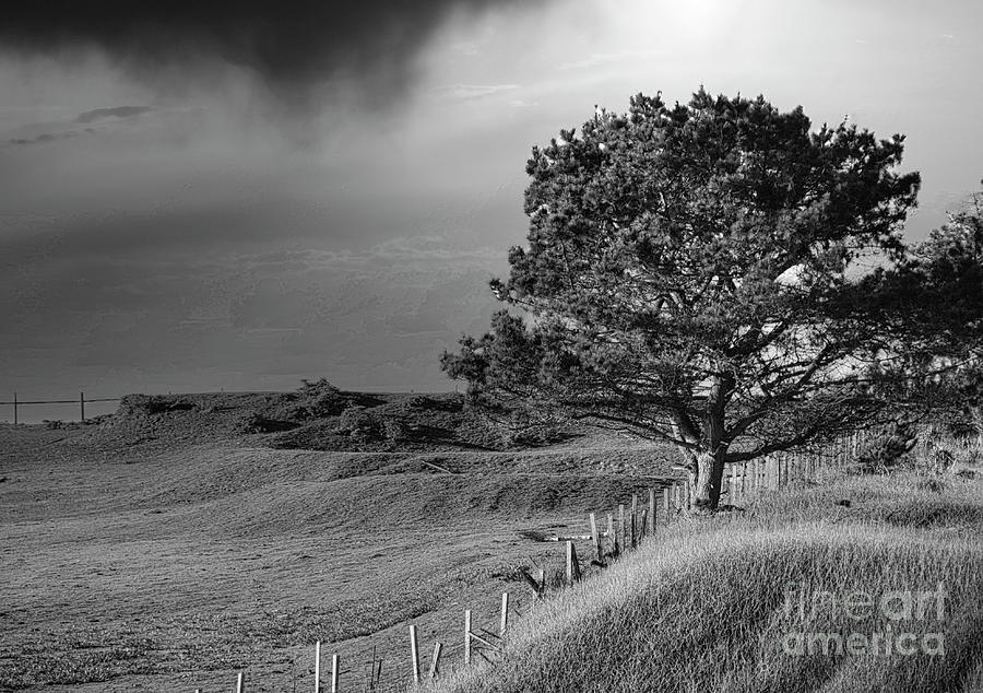 Inspirational Photograph - Landscape Northern Calif Black White  by Chuck Kuhn