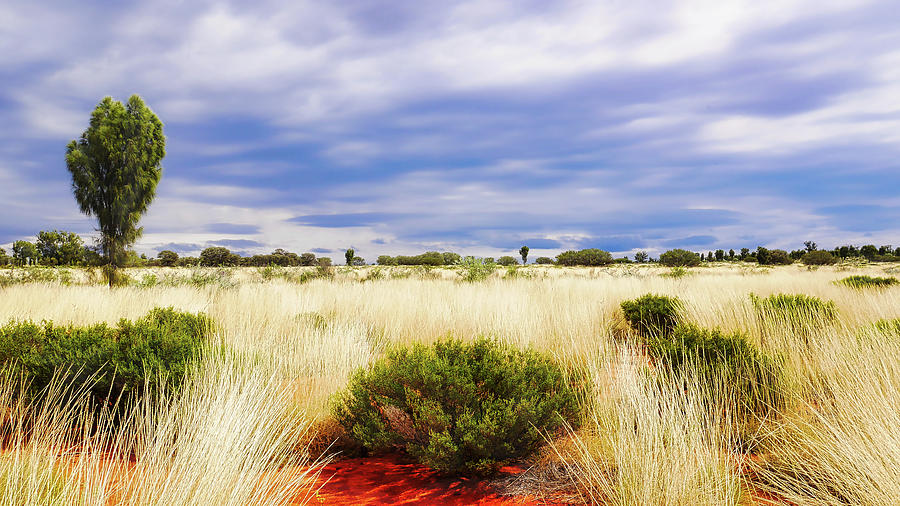 Landscape of Central Australia Photograph by Lexa Harpell