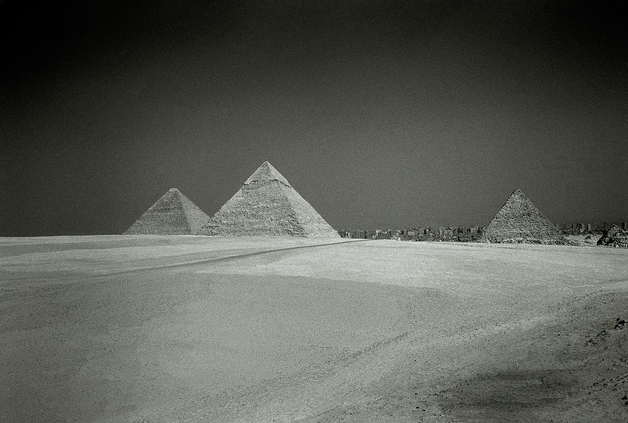 Landscape Of Giza Photograph by Shaun Higson