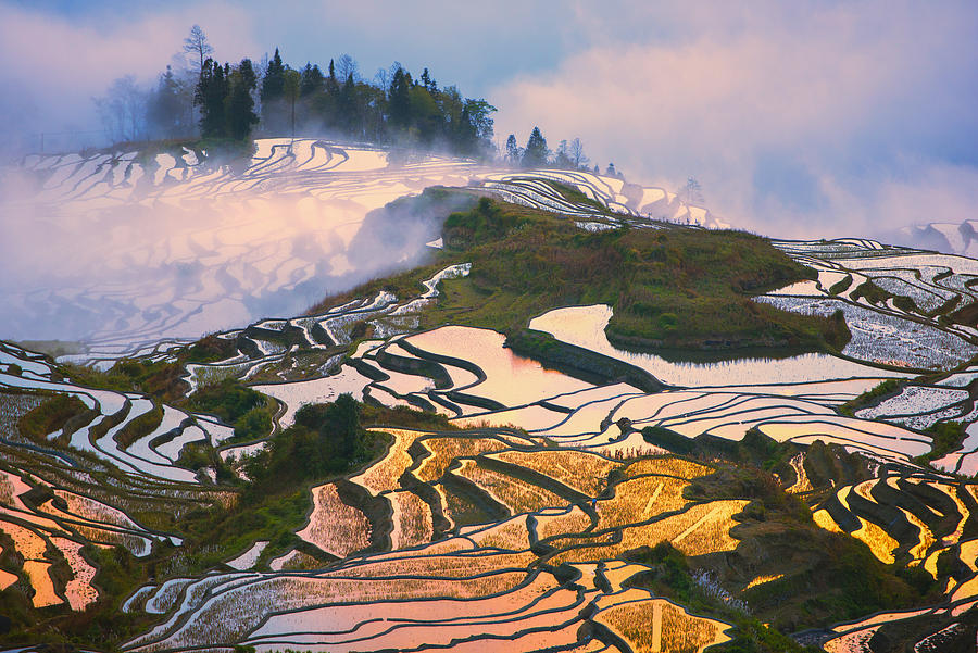 Landscape of The Yuanyang Rice Terraces Photograph by Chaiyun Damkaew