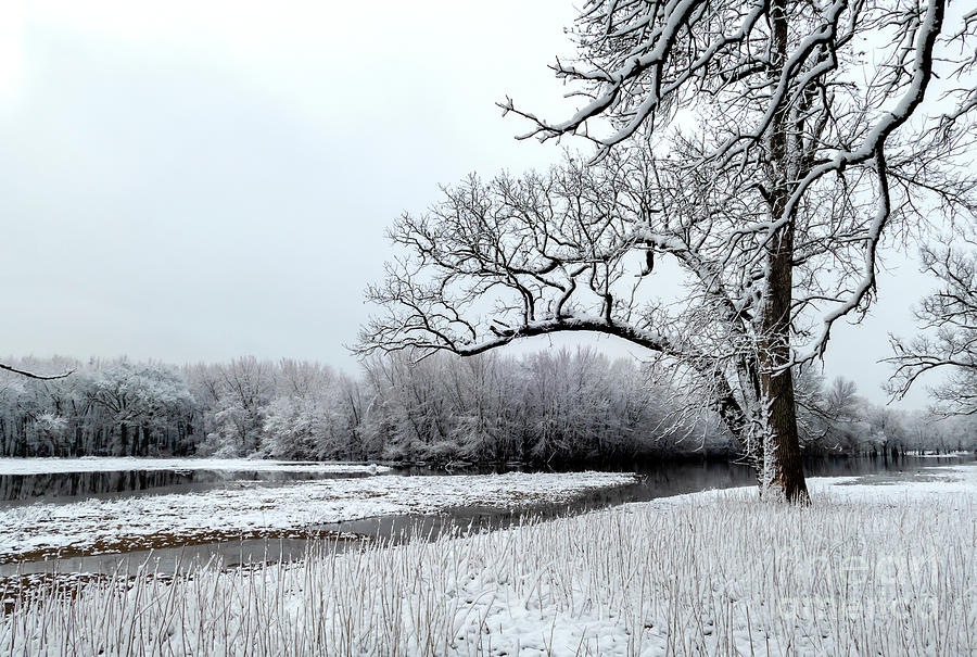 Landscape of White Photograph by Sandra Js