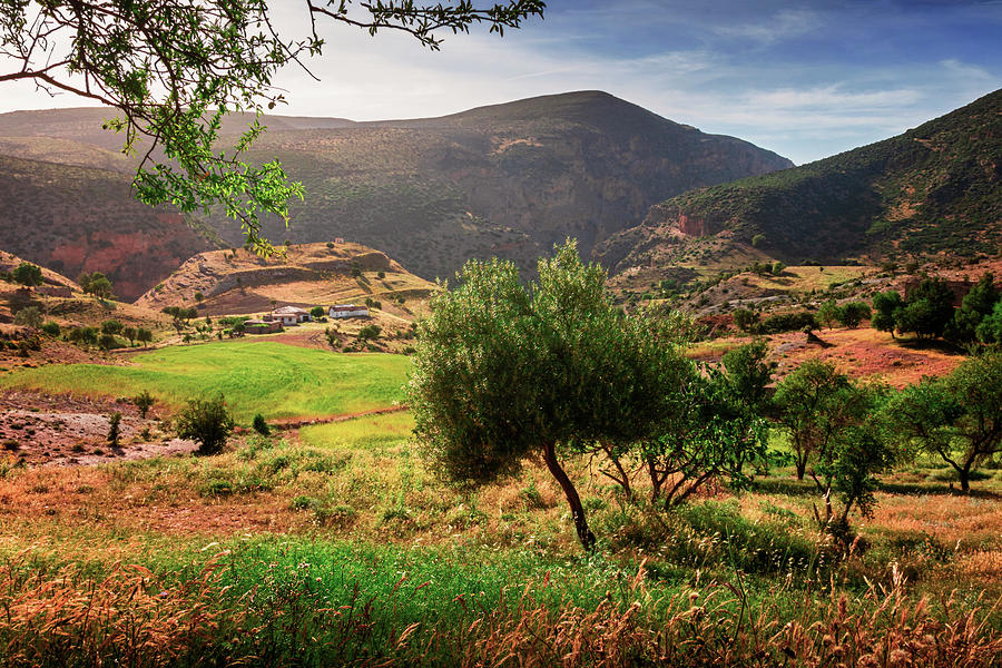 landscape photo for the nature at the mountains in Bougaa setif algeria ...