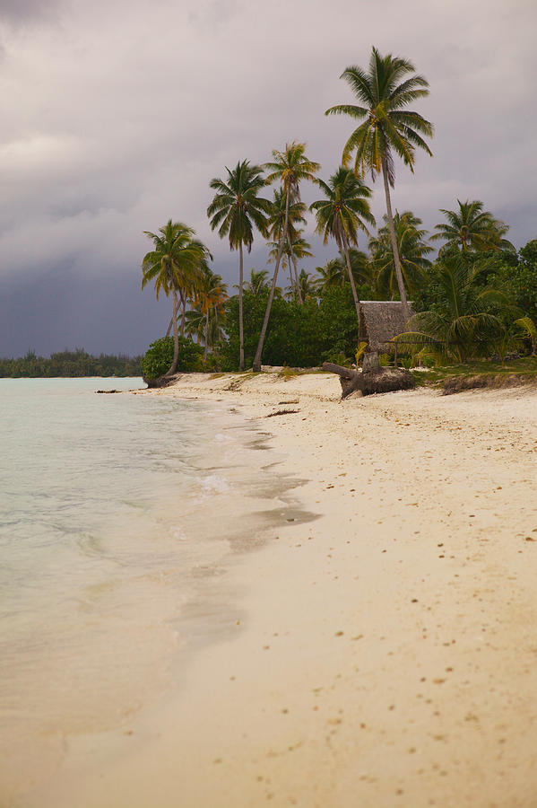 Landscape Photograph Of A Tropical Beach Photograph by Photodisc