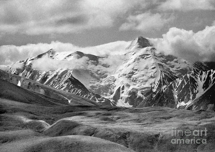 Alaska landscape photographs - Denali - Mt. McKinley Photograph by Sharon Hudson