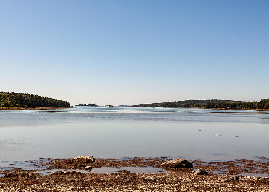 Landscape Photography - Coastal Maine  Photograph by Amelia Pearn