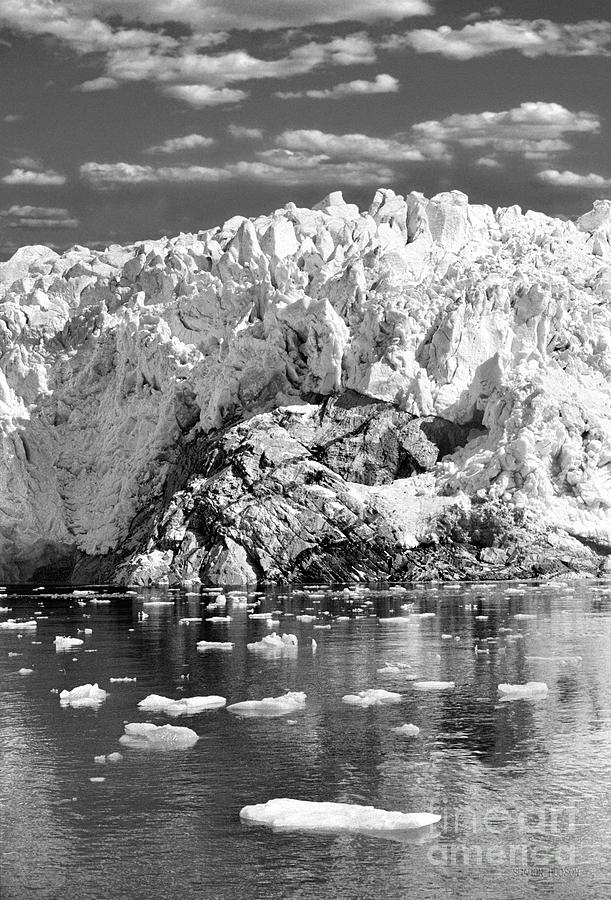 Alaska landscape photography - Glacier Bay II Photograph by Sharon Hudson