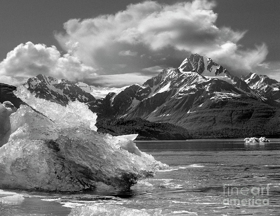 Alaska landscape photography - Glacier Bay Photograph by Sharon Hudson