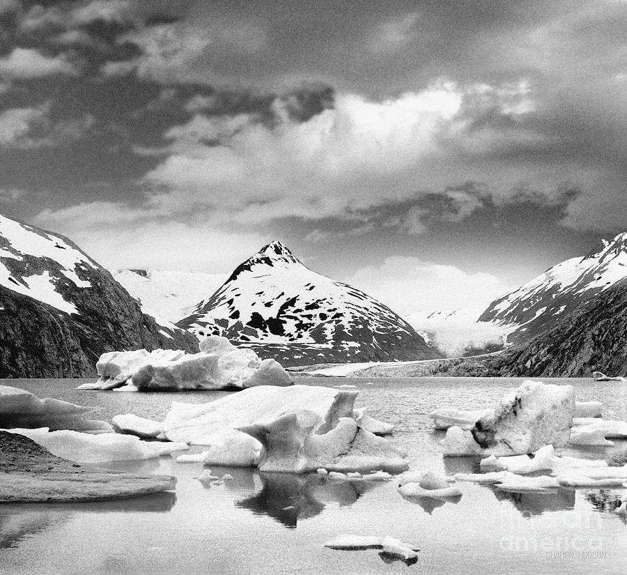 Alaska landscape photography - Portage Glacier Photograph by Sharon Hudson