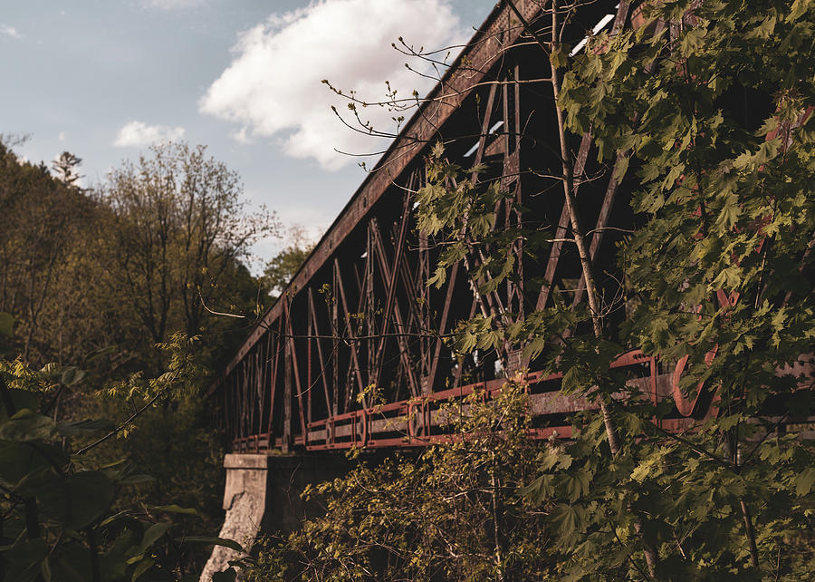 Landscape Photography  - Rail Road Bridge 2 Photograph by Amelia Pearn