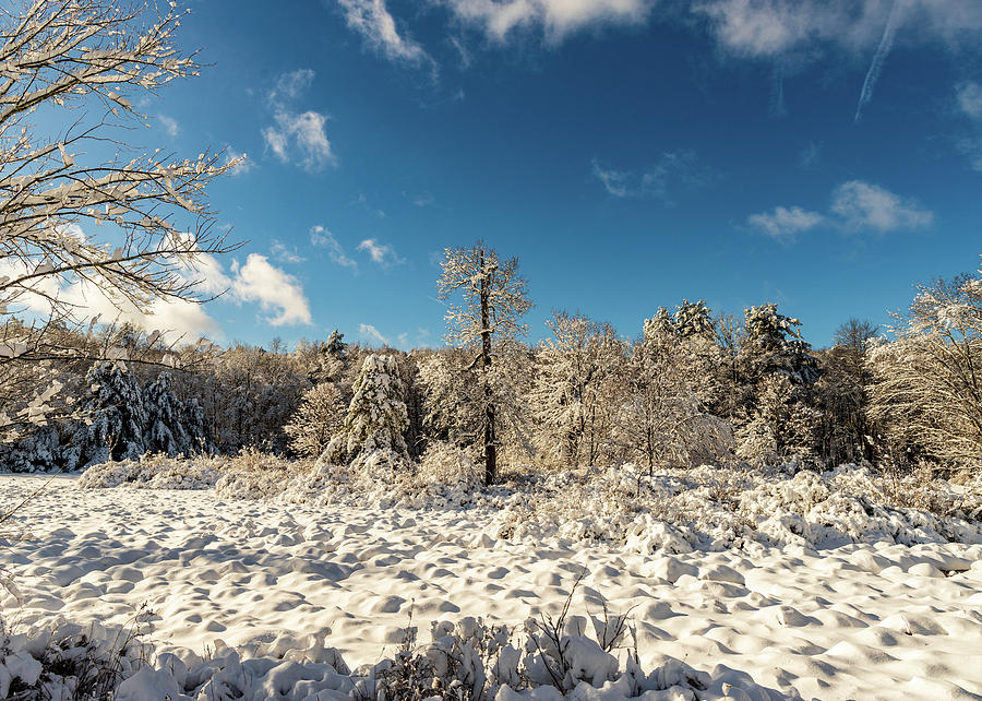 Landscape Photography  - Snowy Field Photograph by Amelia Pearn