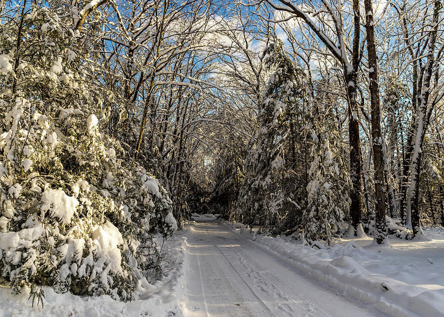 Landscape Photography  - Winter Roads Photograph by Amelia Pearn