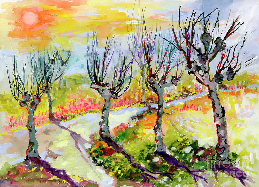 Landscape Pollard Trees Watercolors Painting by Ginette Callaway