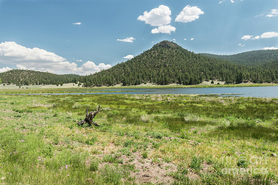 Landscape Quemado Lake, New Mexico. Photograph by Mike Helfrich Pixels