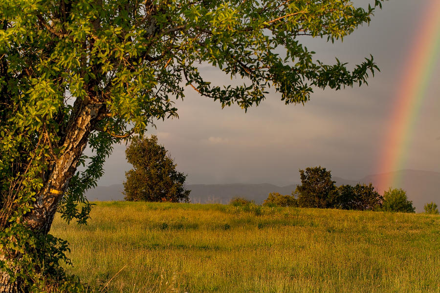 Landscape, rainbow, Provence, France Photograph by Svetkor
