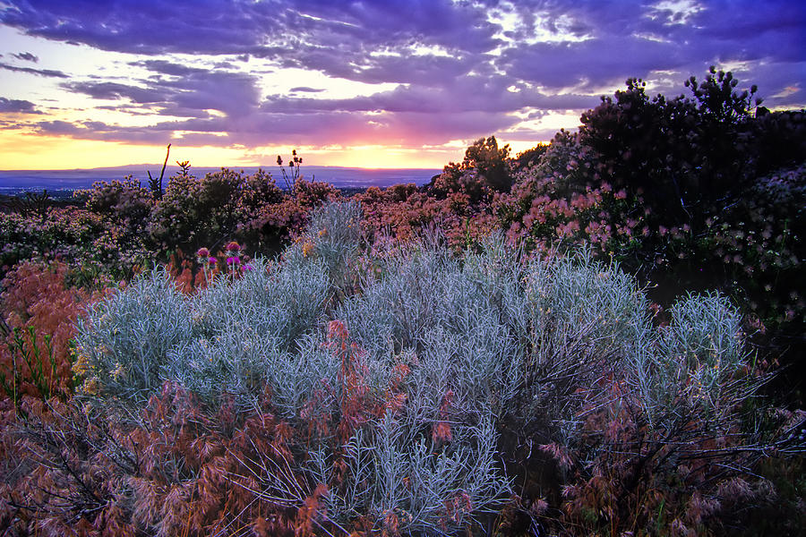 Landscape Sagebrush Sunset Sky Desert Photograph by Amygdala_imagery