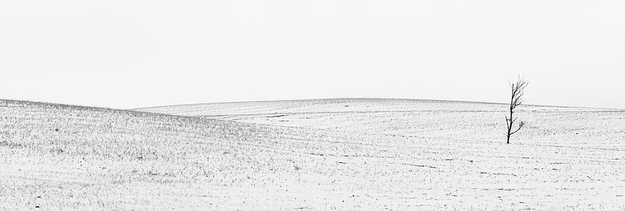 Landscape Saskatchewan Prairie Photograph by Mark Duffy