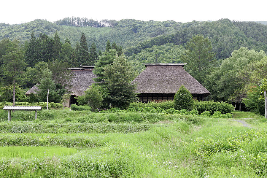 Nature Photograph - Landscape with a thatched roof by Kaoru Shimada