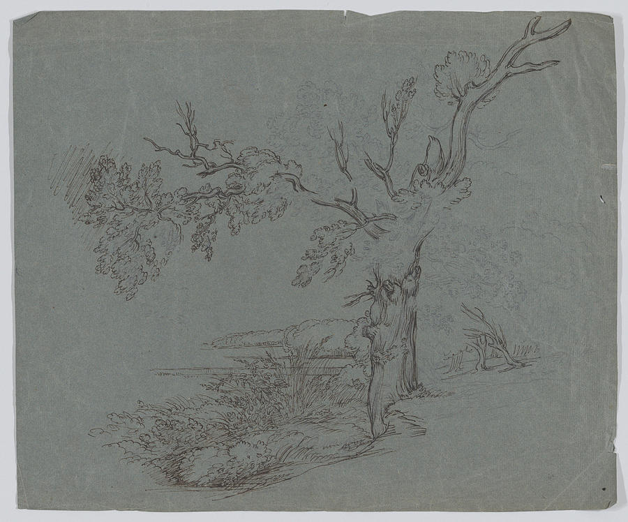 Landscape With A Tree In The Foreground Ca. 1800 Painting
