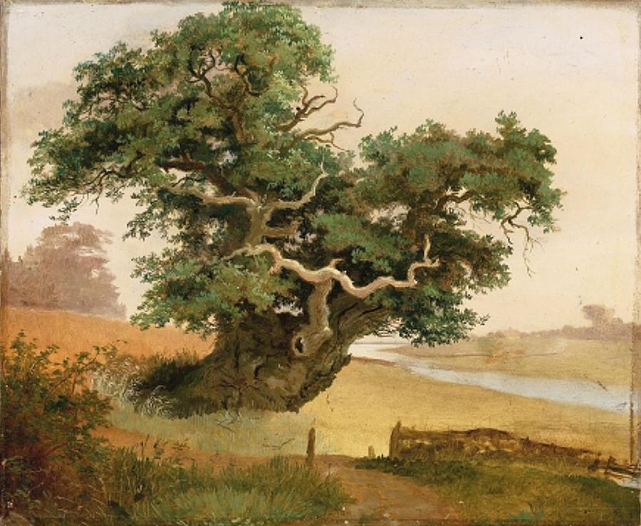Landscape with an old twisted tree Dansk Gammelt knudret trae i ...