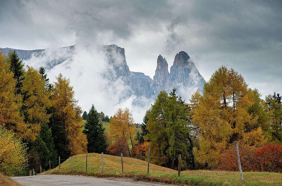 Landscape With Autumn  Trees  Dolomite Rocky Peaks Photograph