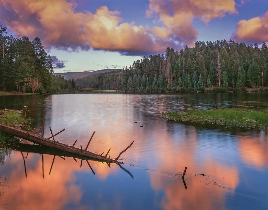 Landscape with Christmas Tree Lake and evergreen forest at sunset