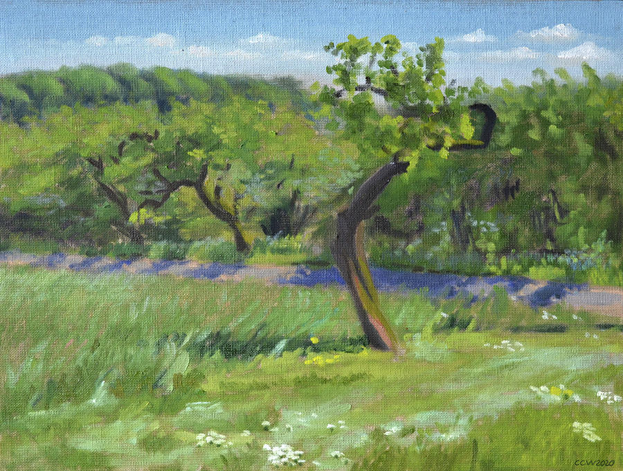 Landscape With Old Tree Painting by Constanza Weiss