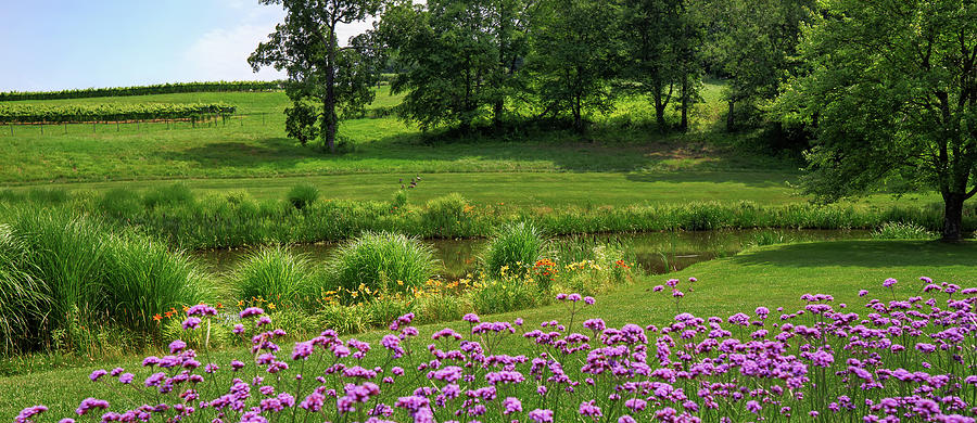 Landscape with pond and foreground flowers Photograph by Phil Cardamone