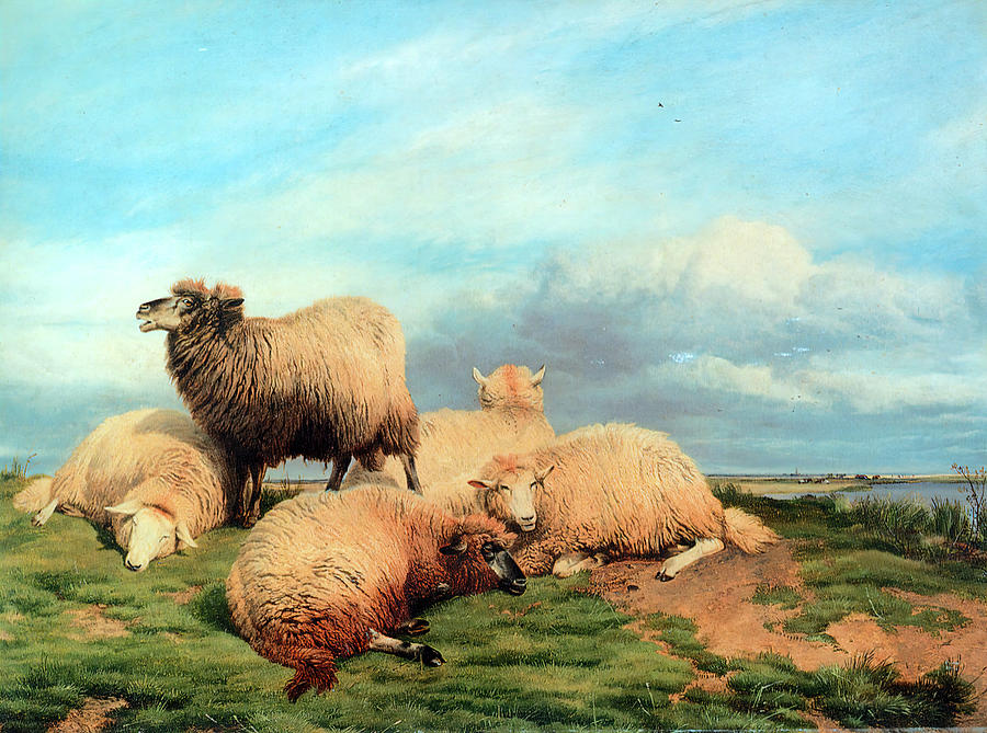 Landscape with Sheep Photograph by Thomas Sidney Cooper