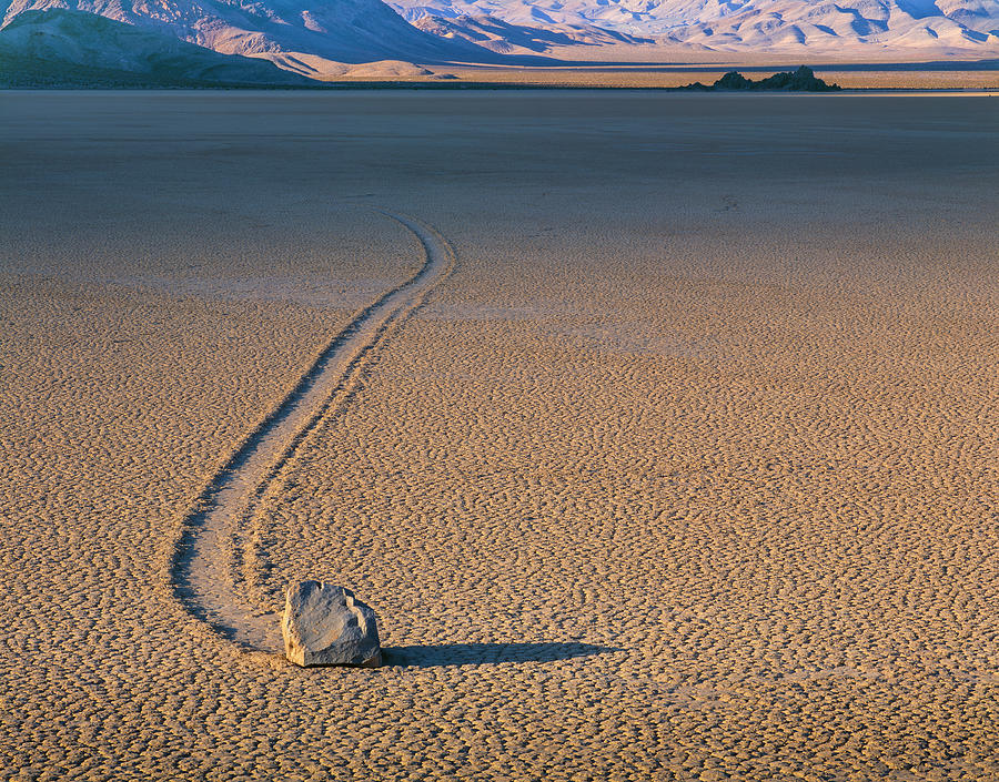 Landscape With Trails Behind Stone In Desert Willcox Playa Wildlife Area Arizona Usa 2360