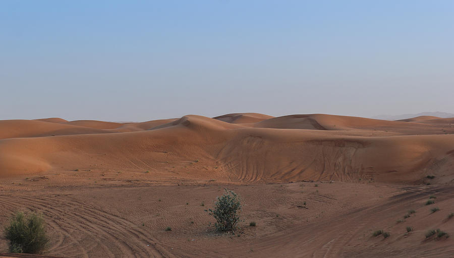 Landscape,nature,desert Photograph by Worawut17