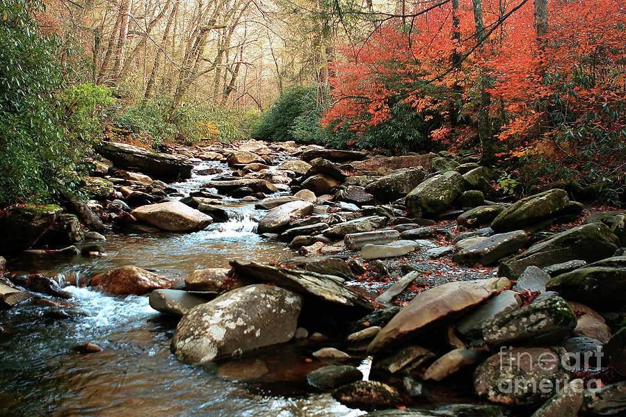 Fall Photograph - Landscape_Smokey Mountains_National Park_IMGL9356 by Randy Matthews