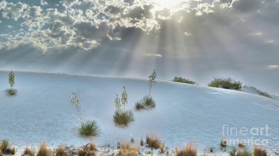 Landscape_White Sands National Park_New Mexico_IMGL4028 Photograph by Randy Matthews