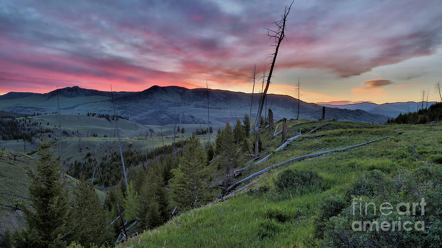 Landscape_yellowstone National Park_lamar Valley Sunrise_imgl3501 Photograph