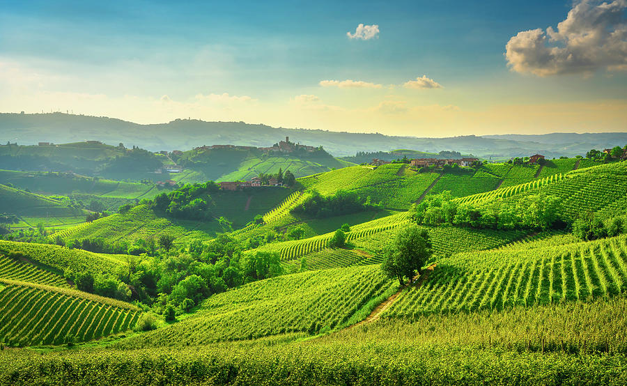Langhe hills, vineyards panorama Photograph by Stefano Orazzini