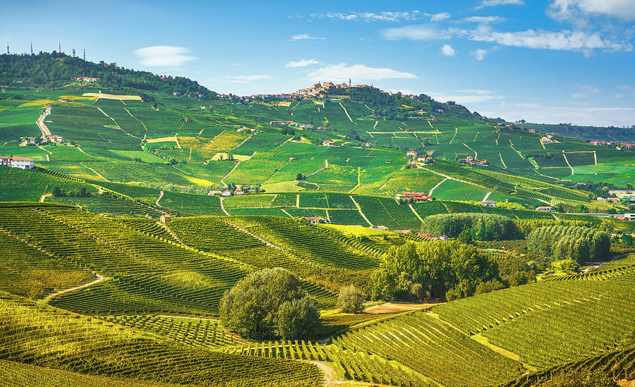 Langhe region, vineyards view. Piedmont Photograph by Stefano Orazzini