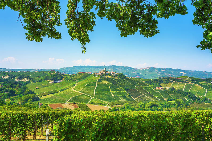 Langhe vineyards and Castiglione Falletto Photograph by Stefano Orazzini