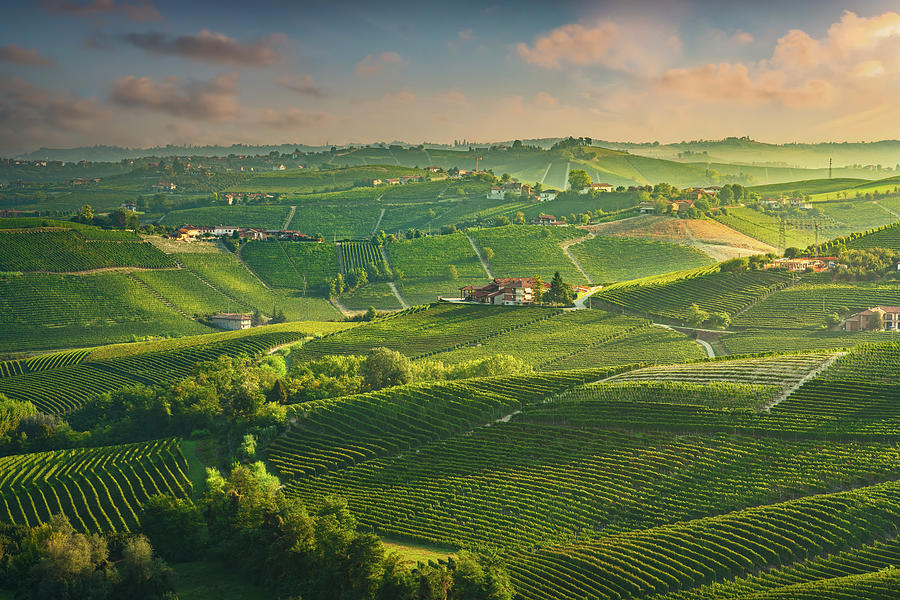 Langhe vineyards at sunrise, Neive, Piedmont Photograph by Stefano Orazzini