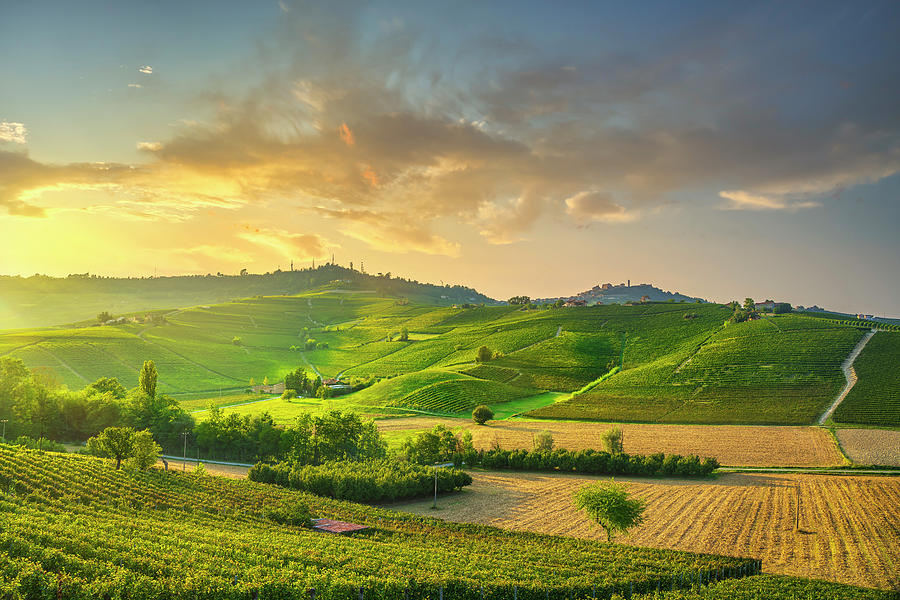 Langhe vineyards at sunset. Photograph by Stefano Orazzini