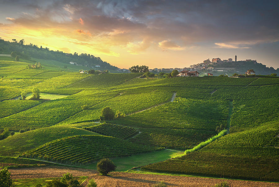 Langhe vineyards, La Morra, Italy Photograph by Stefano Orazzini