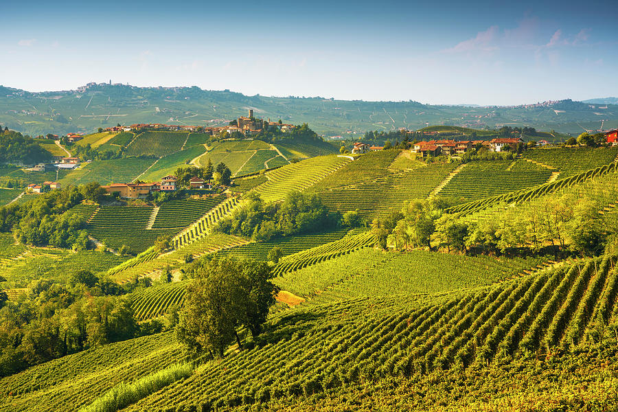 Langhe vineyards landscape and Castiglione Falletto, Italy Photograph by Stefano Orazzini